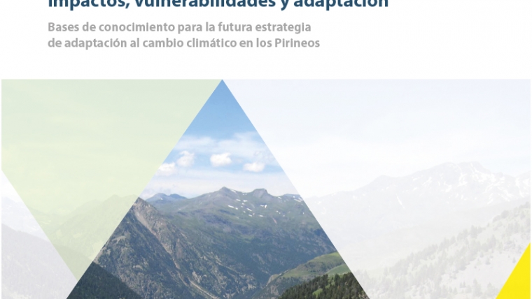 El cambio climático en los Pirineos: impactos, vulnerabilidades y adaptación